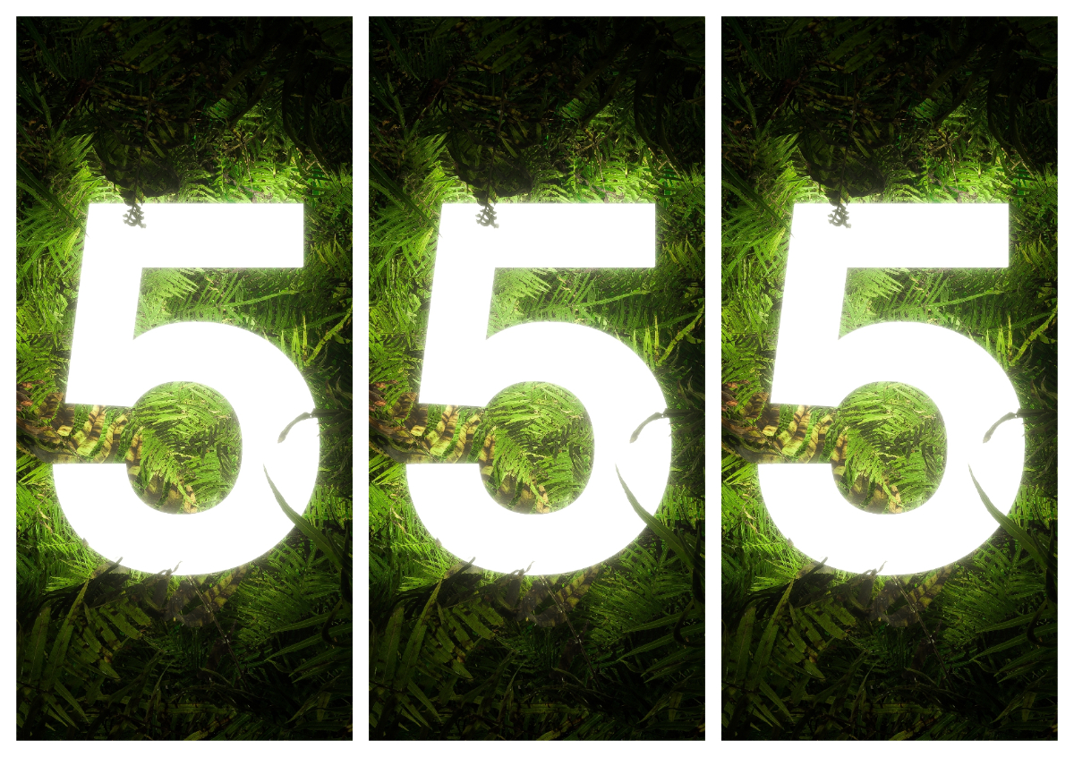 555 angyalsz&aacute;m